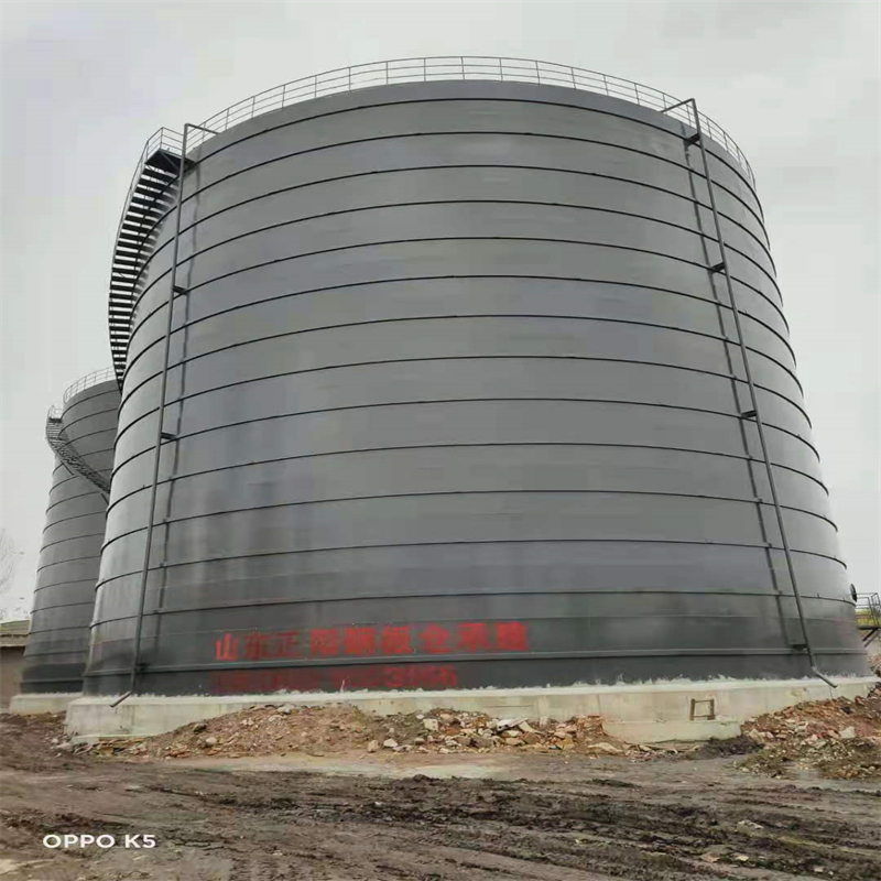 城关3万吨大型钢板库